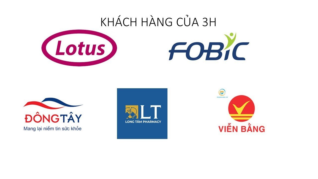 lĩnh vực hoạt động